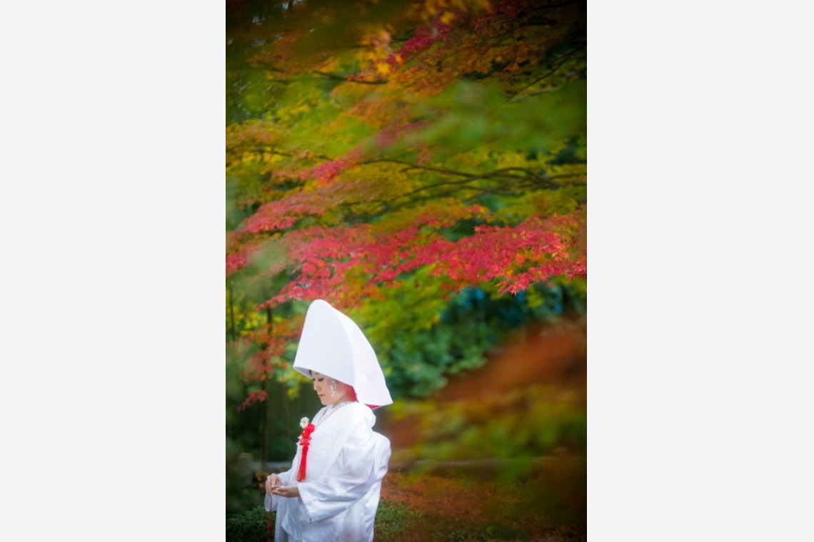 ピュアアーティス(小島 靖雄)が撮影した「その他フォト」の写真