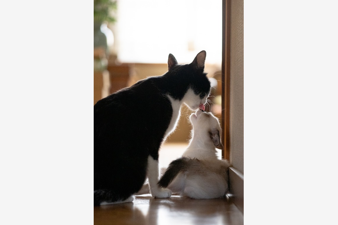 blankが撮影した写真のアルバム「商品撮影」