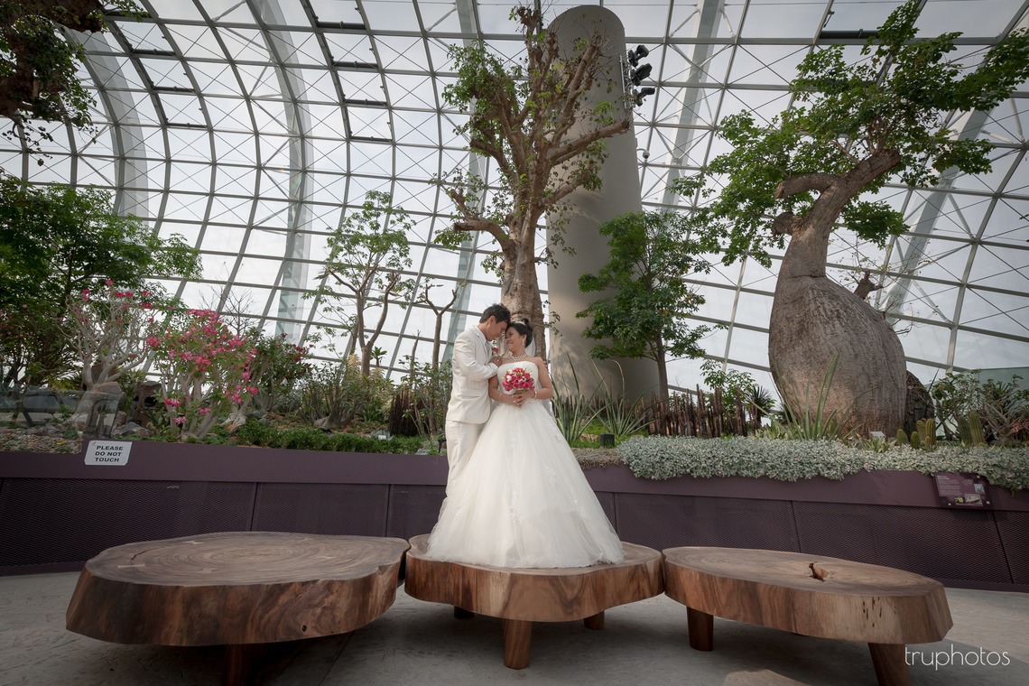 Truphotosが撮影した「シンガポール」の写真