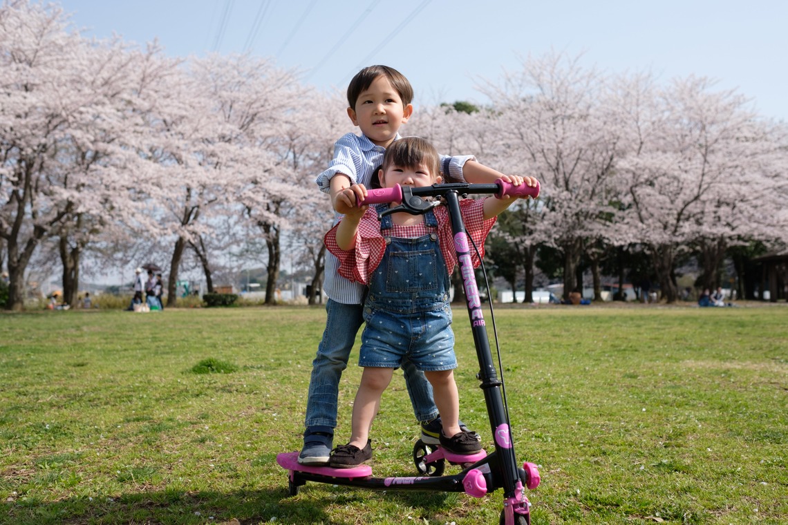 高野和希が撮影した「桜での家族フォト」の写真