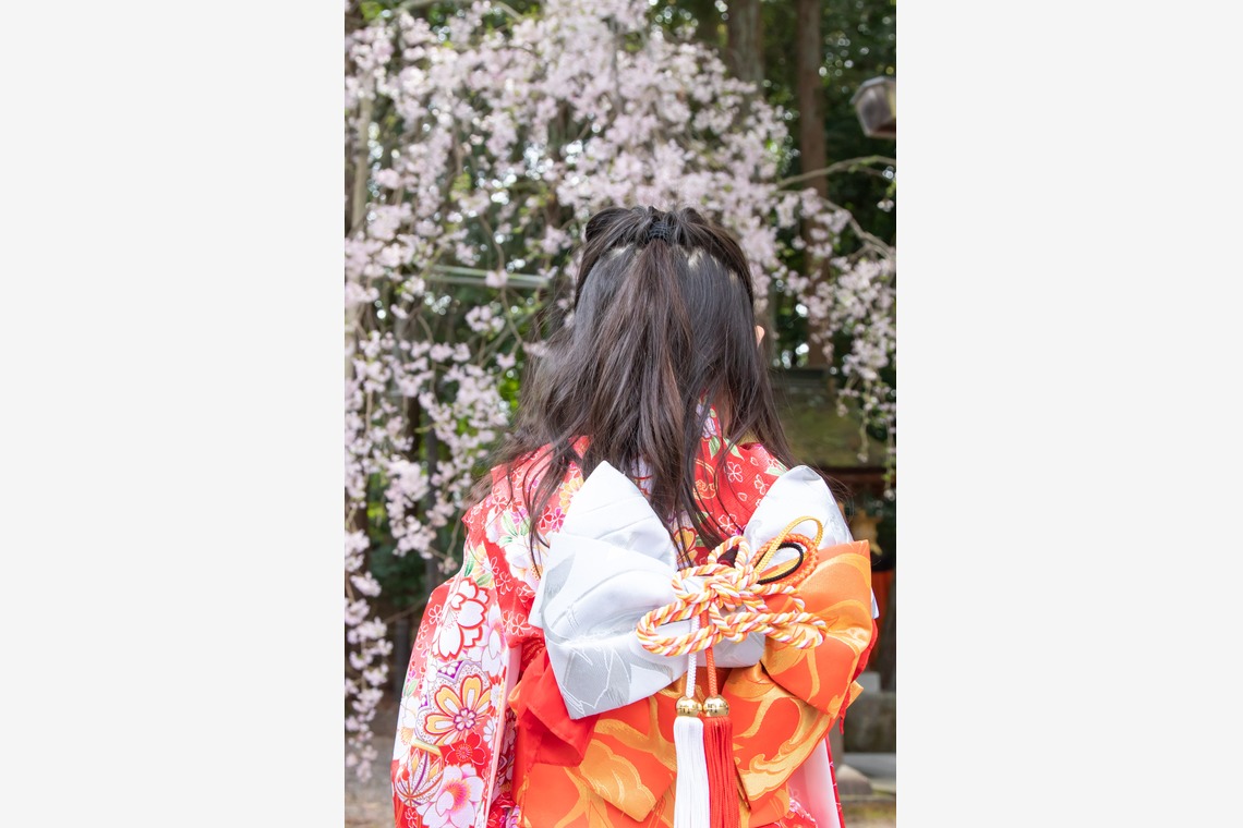 スマイルグローバルフォトが撮影した「桜の七五三」の写真