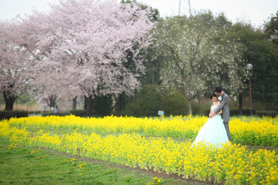 Album of the Wedding, Bridal taken by WEDDING AVENUE - 