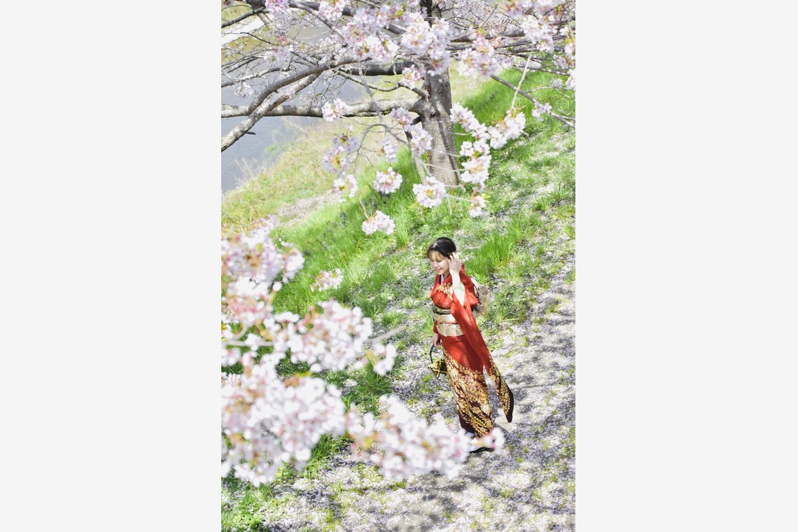 タコヤキが撮影した「成人式前撮り、後撮り」の写真