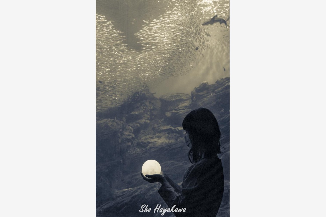 アンドCが撮影した「スナップ」の写真