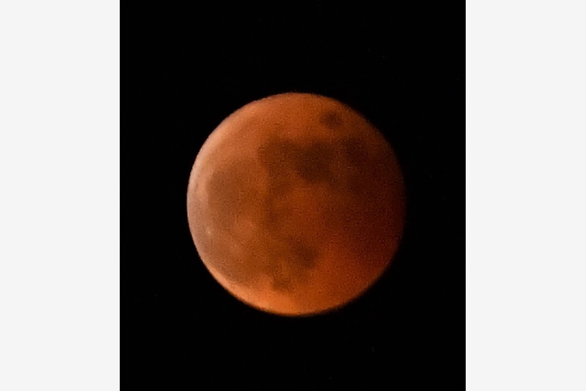 Photo la feliceが撮影した「Photo la felice」の写真