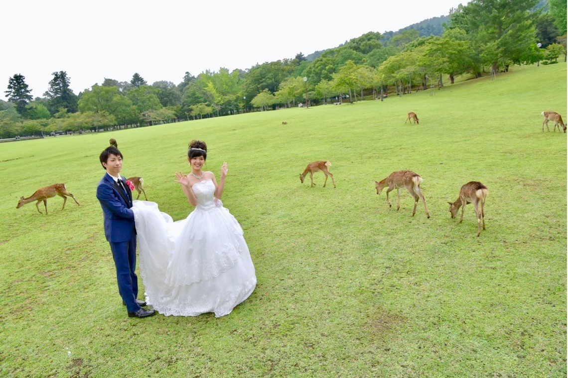 Album of the Wedding, Bridal taken by Kiki photo works - Pre Weddingphotoshoot at Nara