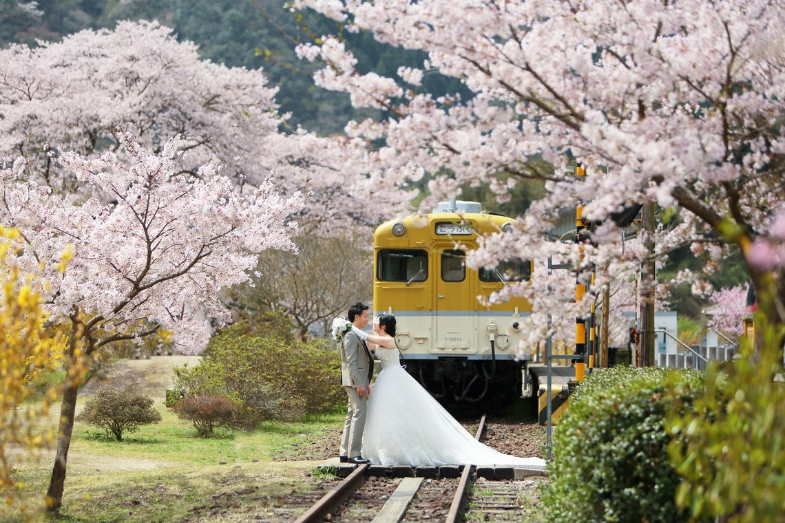 KIKIウェディングが撮影した写真のアルバム「花の駅公園」