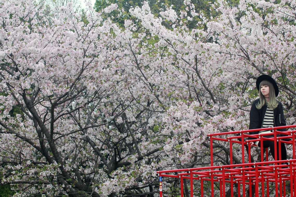 Taka Photoが撮影した「ポートレート」の写真