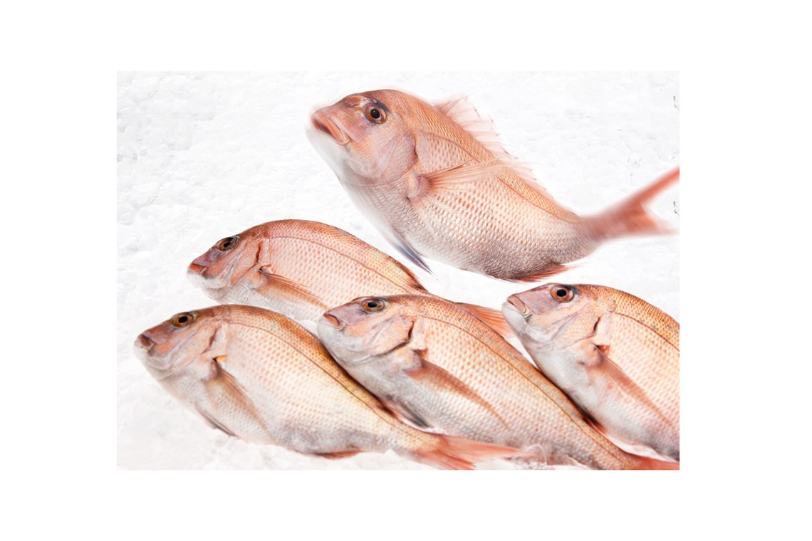 舩津　孝が撮影した「フード」の写真