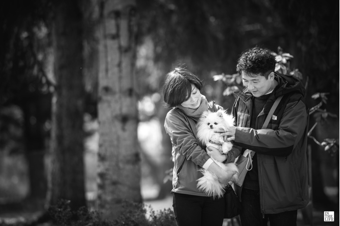 伊藤写真事務所 イン・ザ・ライフが撮影した写真のアルバム「家族写真（ペットも家族）」