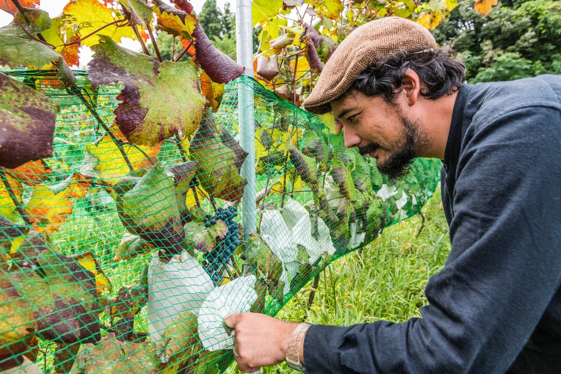 リトルダイナソーが撮影した「取材人物撮影」の写真