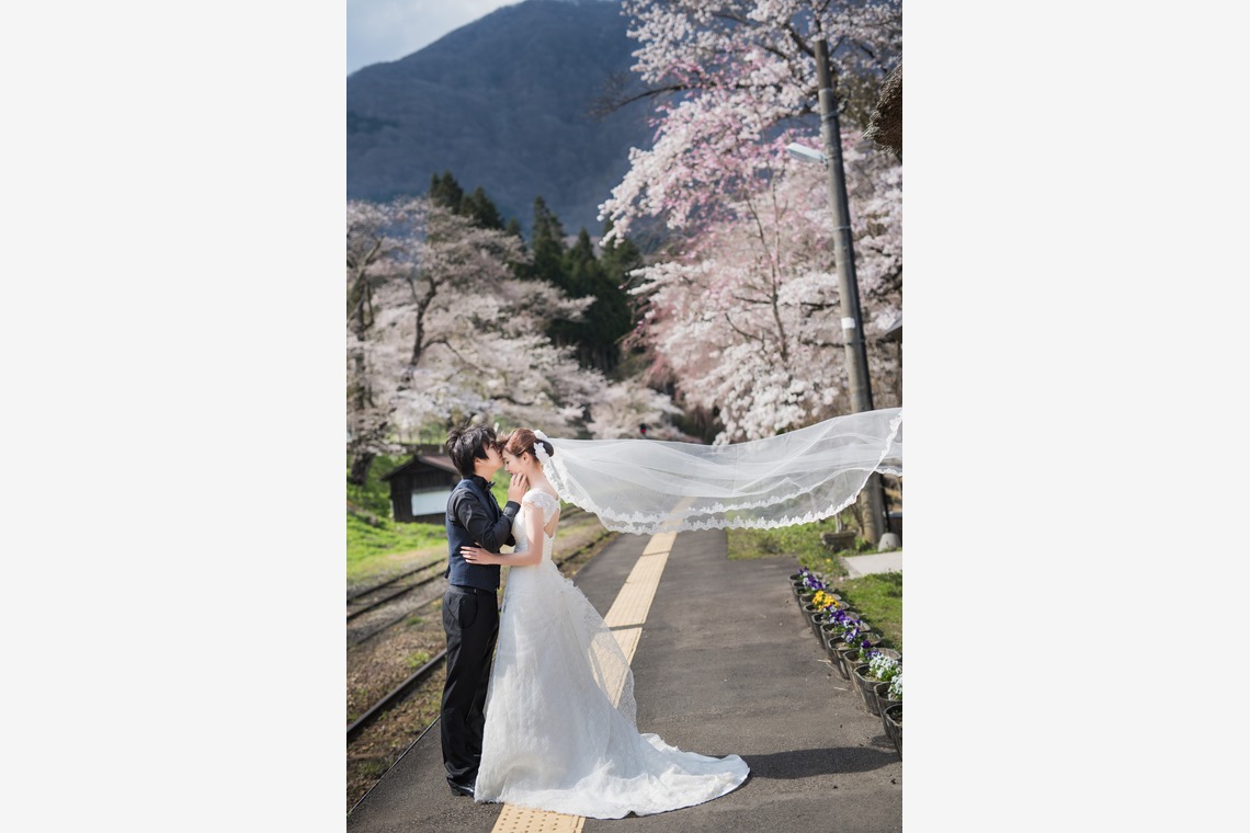 My Style Garden Studio が撮影した写真のアルバム「桜」