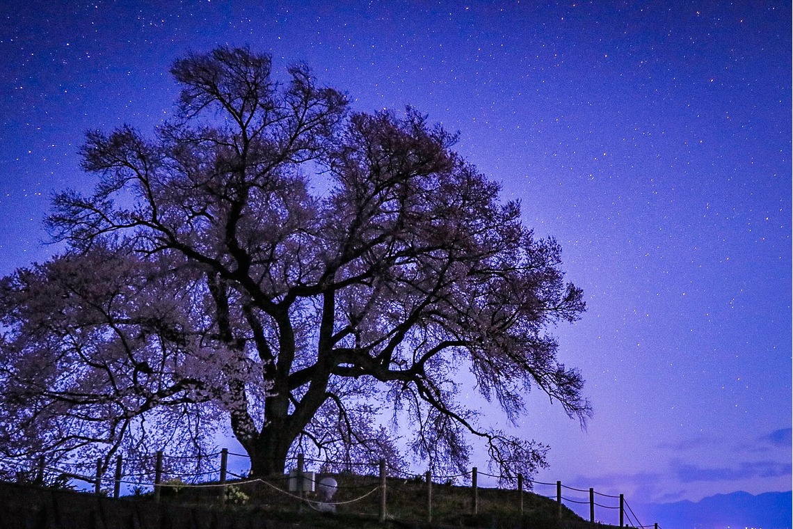 内藤駿介が撮影した写真のアルバム「風景」