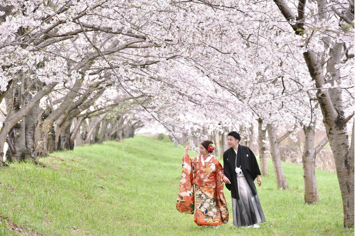 キキフォトワークスが撮影した「桜の季節の和装前撮り」の写真