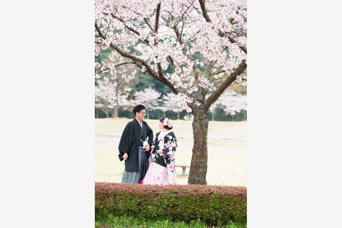 PIC WEDDING PHOTO（岩本 竜弥）が撮影した写真のアルバム「色打掛」