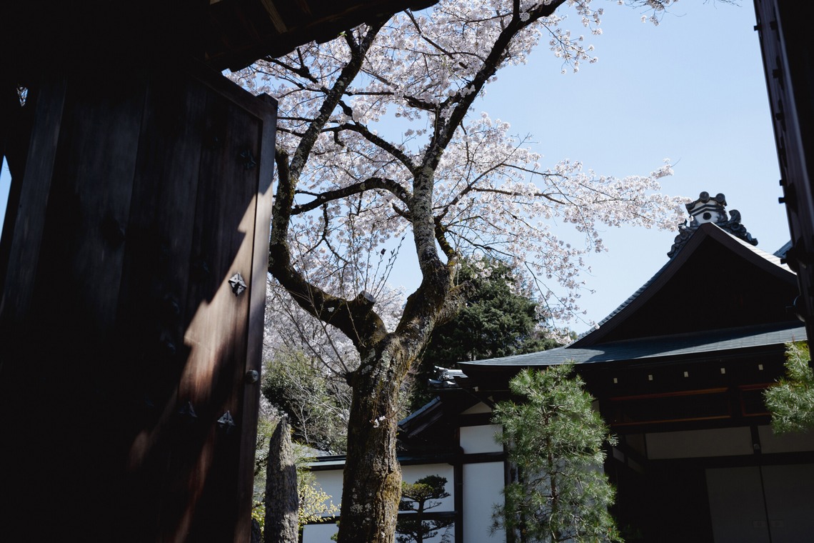 kiharu&photoが撮影した「風景【ロケ撮影】」の写真