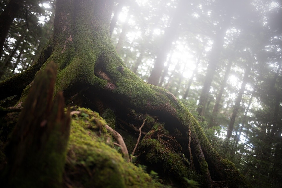 舘　典志が撮影した「風景」の写真
