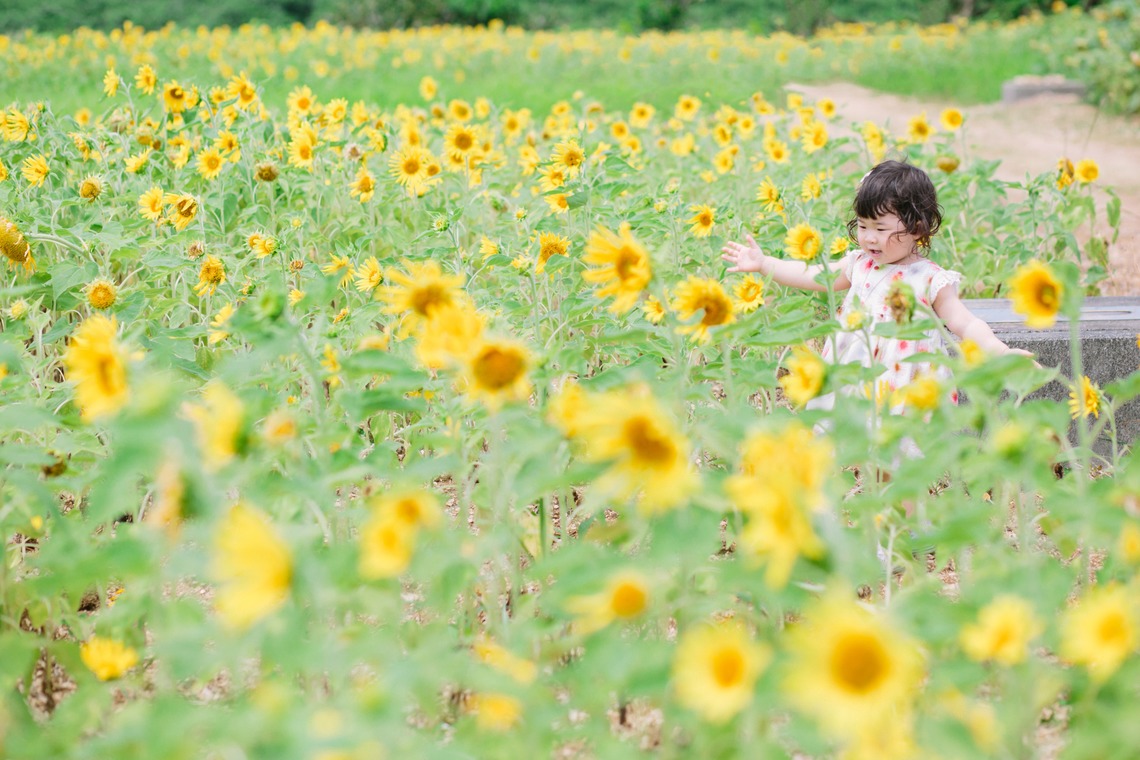 Koji Nishida Photographyが撮影した写真のアルバム「ファミリーフォト石垣」