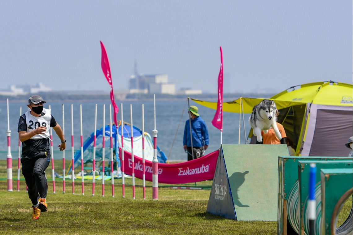 スタジオファンタスが撮影した「ドッグスポーツエクストリーム」の写真