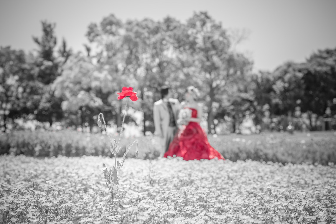 カウズが撮影した「フォトギャラリー」の写真