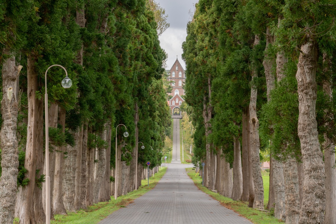 ウィリアムズ　侑依が撮影した写真のアルバム「建物・風景撮影」