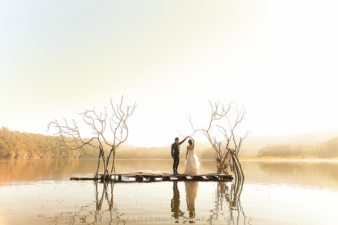 Padi Photograpahyが撮影した「」の写真