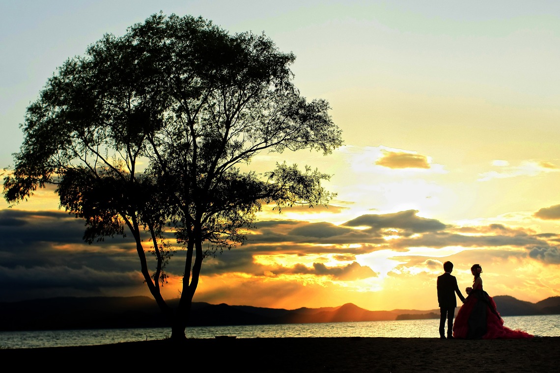 Wedding Produce FILが撮影した写真のアルバム「フォトギャラリー」