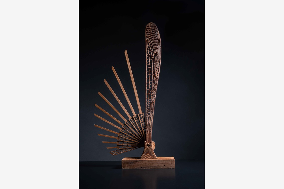 山畑俊樹が撮影した写真のアルバム「アート作品」