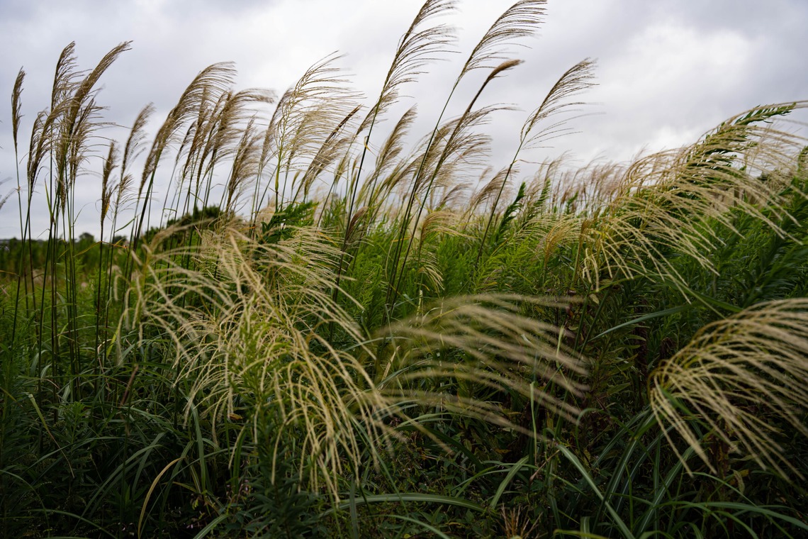 細田　恭平が撮影した「アウトドア撮影」の写真