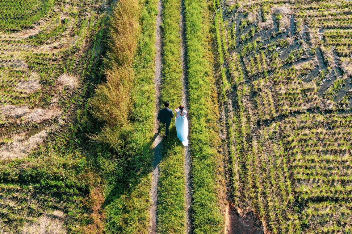 佐野章太が撮影した「ウェディングフォト」の写真