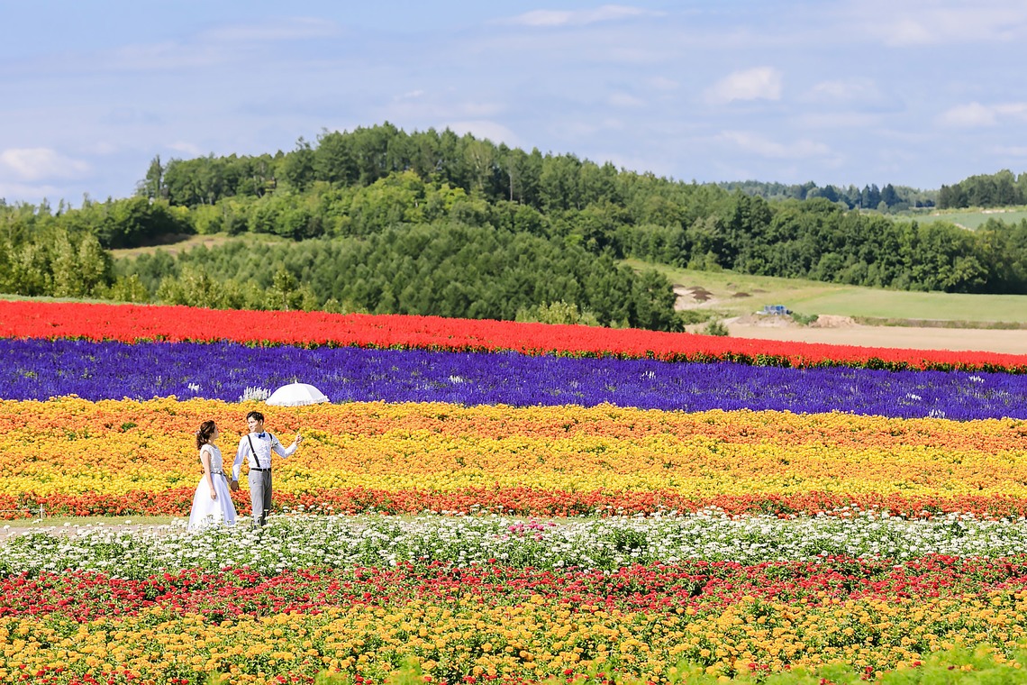 APKが撮影した「2017 August Furano & Biei」の写真