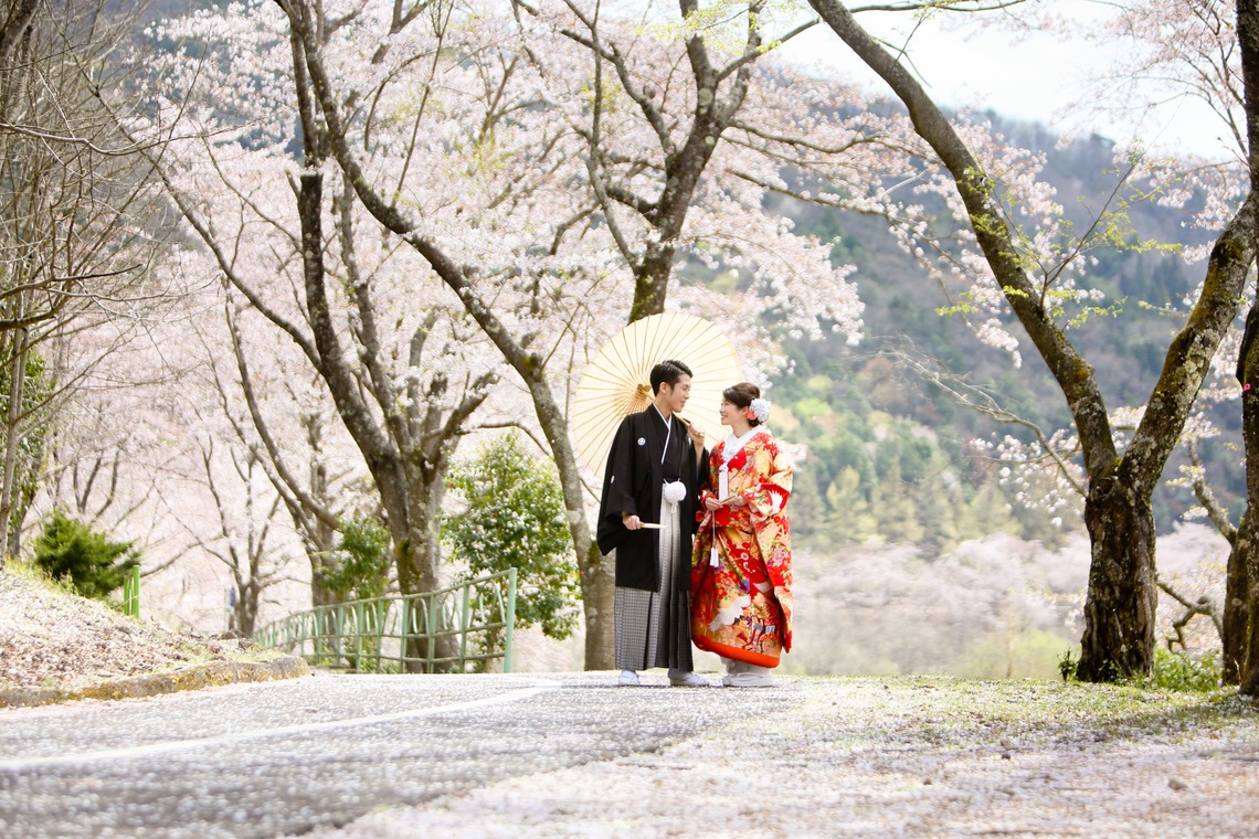 KIKIウェディングが撮影した写真のアルバム「ピンクの桜」