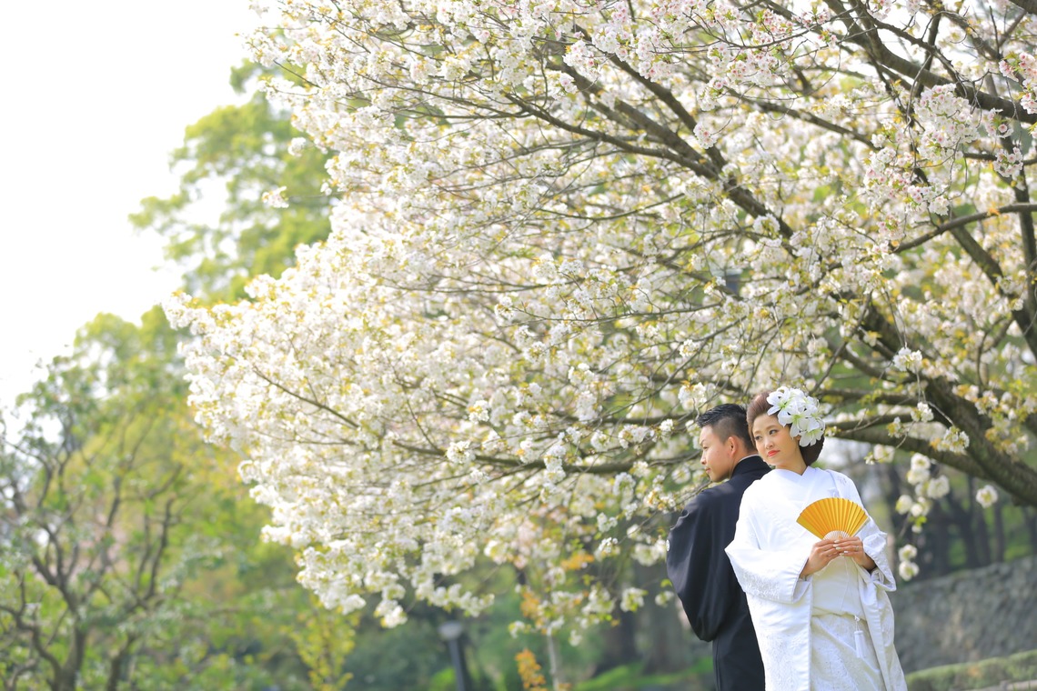 STUDIO 8 (スタジオエイト)が撮影した「名古屋フォト」の写真