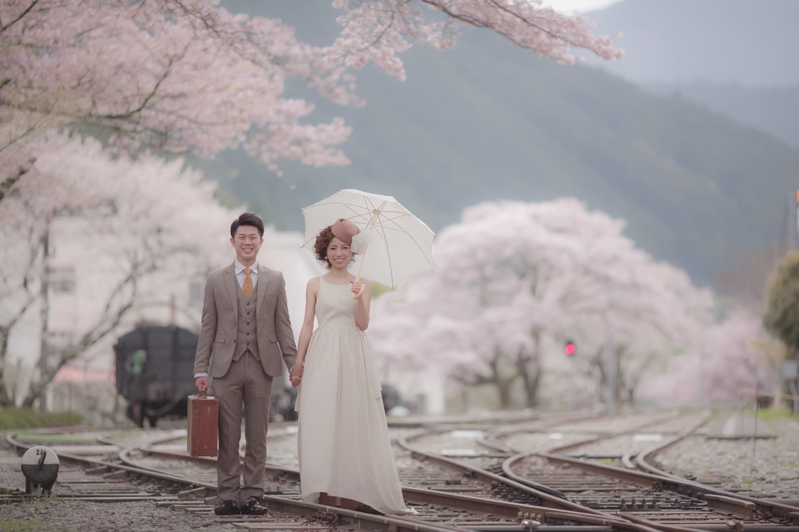  グラフィーズが撮影した写真のアルバム「桜」