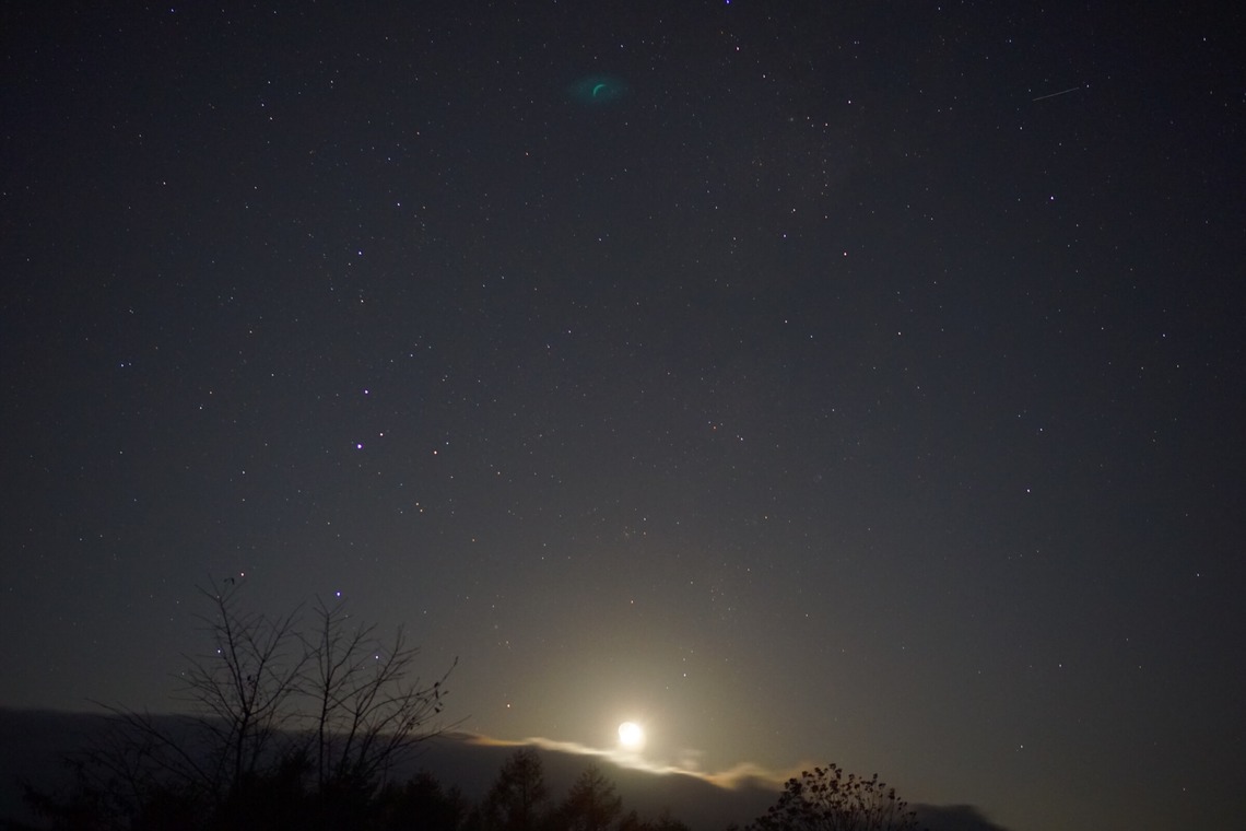 出張撮影のメモリーズが撮影した「nature-アラカルト」の写真