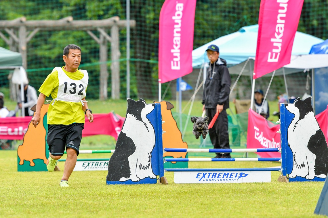 スタジオファンタスが撮影した「ドッグスポーツエクストリーム」の写真