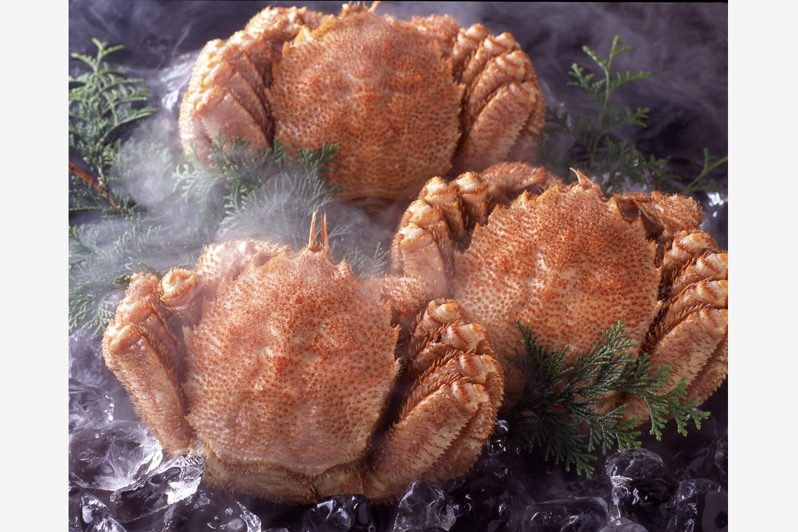 写真事務所ポートフォリオが撮影した「私のライフワーク」の写真