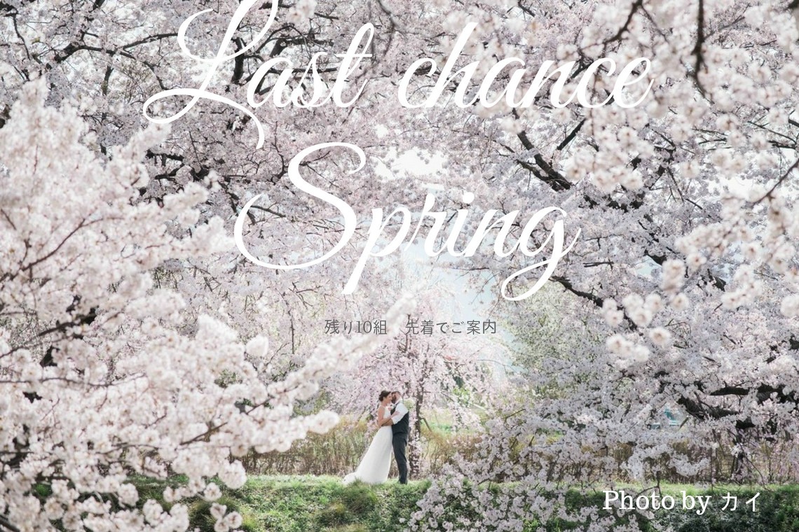 Album of the Wedding, Bridal taken by Famarry & emily - Promotional Images