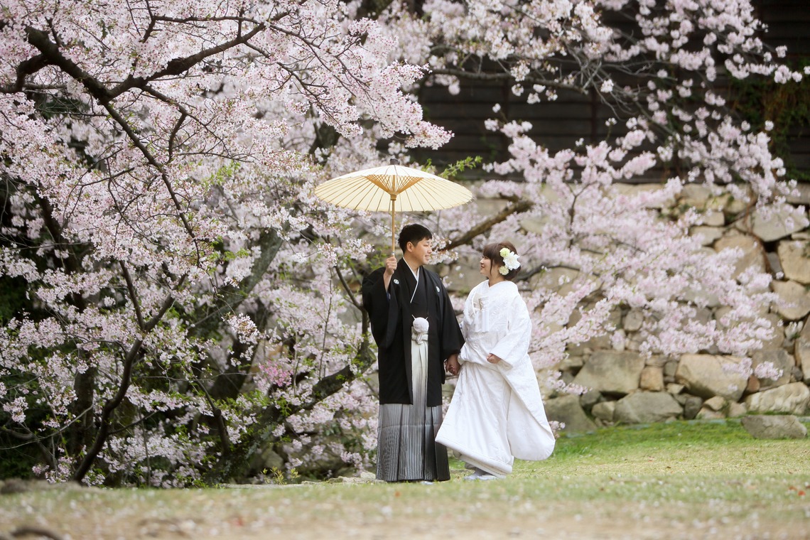 KIKIウェディングが撮影した「しだれ桜とソメイヨシノ」の写真