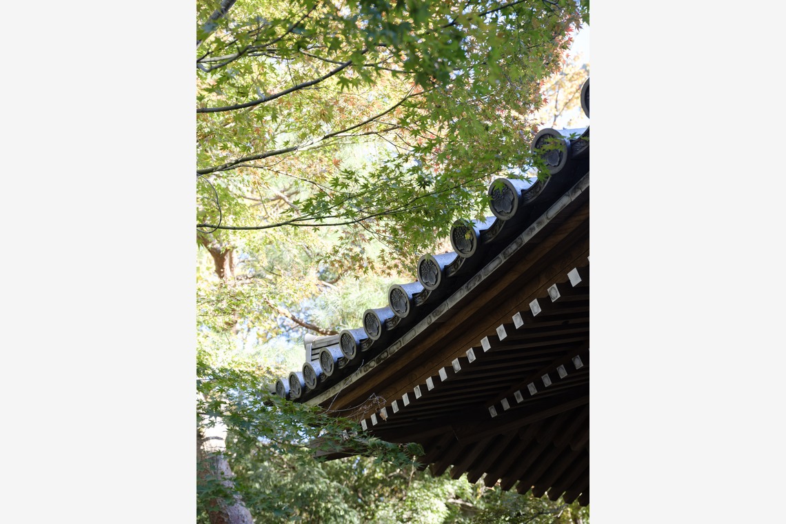 藤原和彦が撮影した七五三フォトのアルバム「お寺さんでの七五三記念撮影」