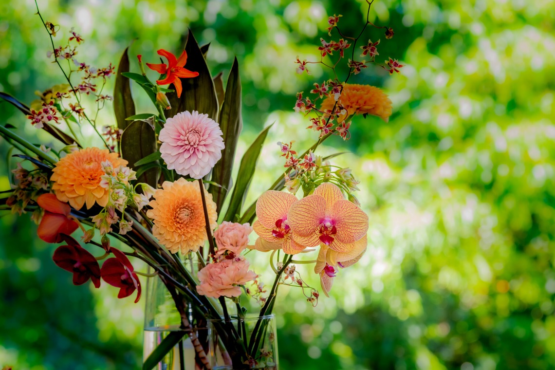 スタジオファンタスが撮影した写真のアルバム「ウェディングパーティー」