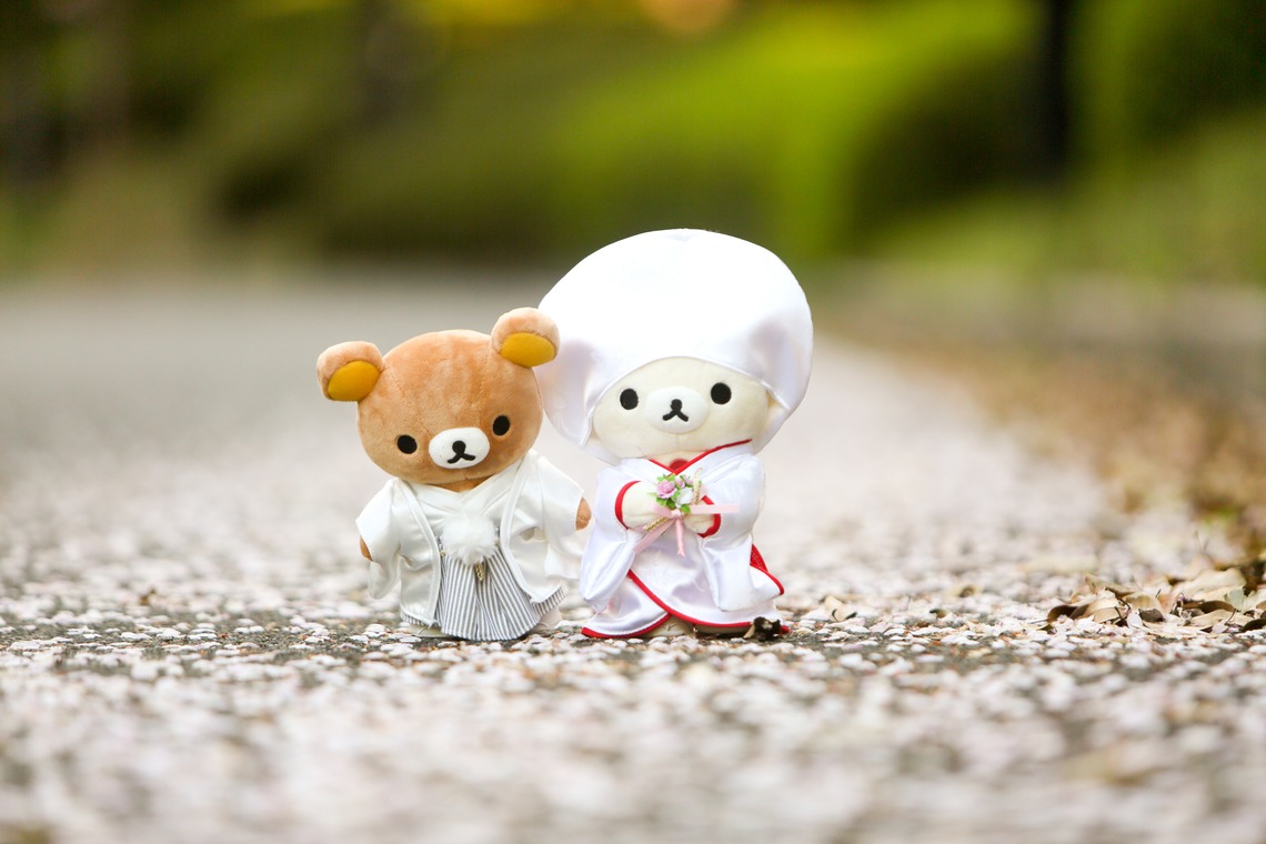 KIKIウェディングが撮影した写真のアルバム「マツダスタジアムと和風庭園」