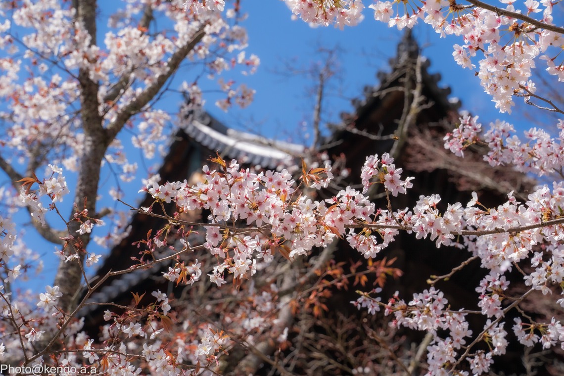 株式会社バックオフィスアクティが撮影した「風景、建築物、料理」の写真