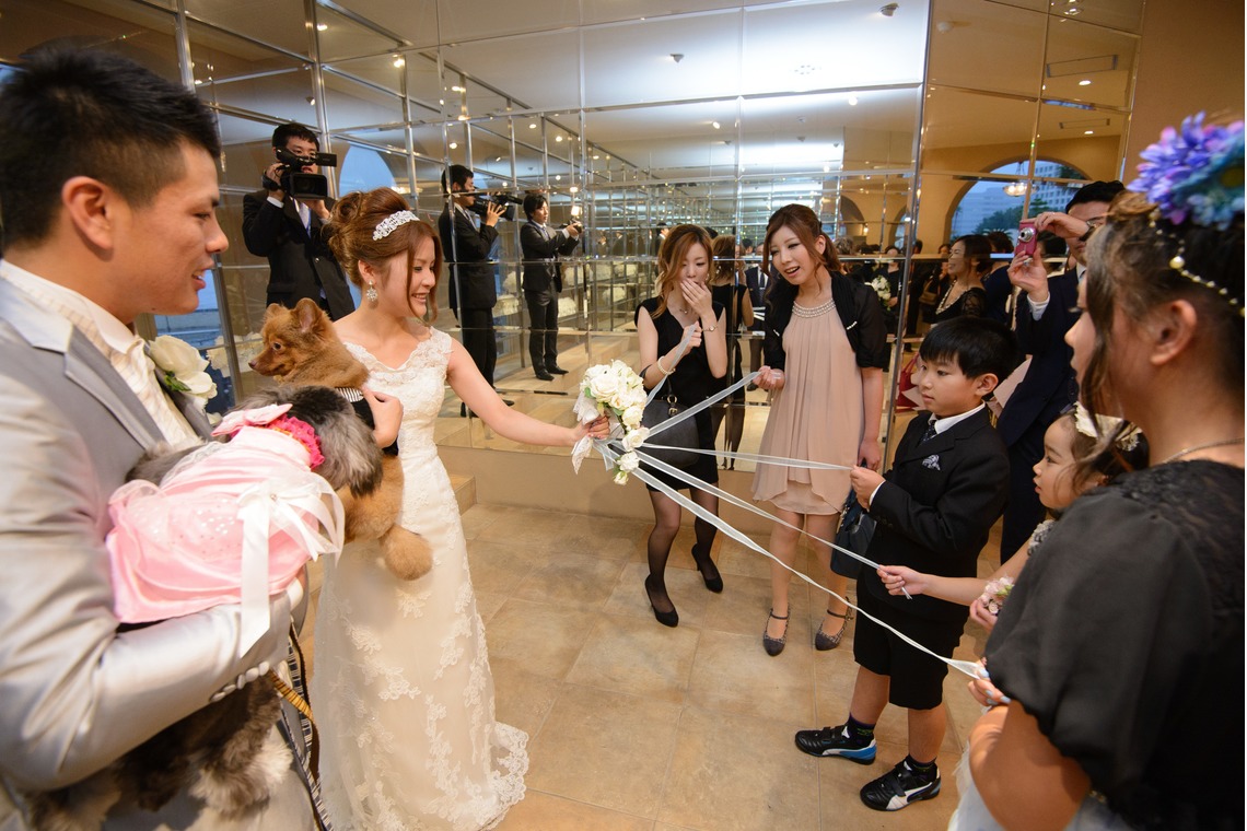 ドラマティックフィルム（島本 浩明）が撮影した「フォトギャラリー」の写真