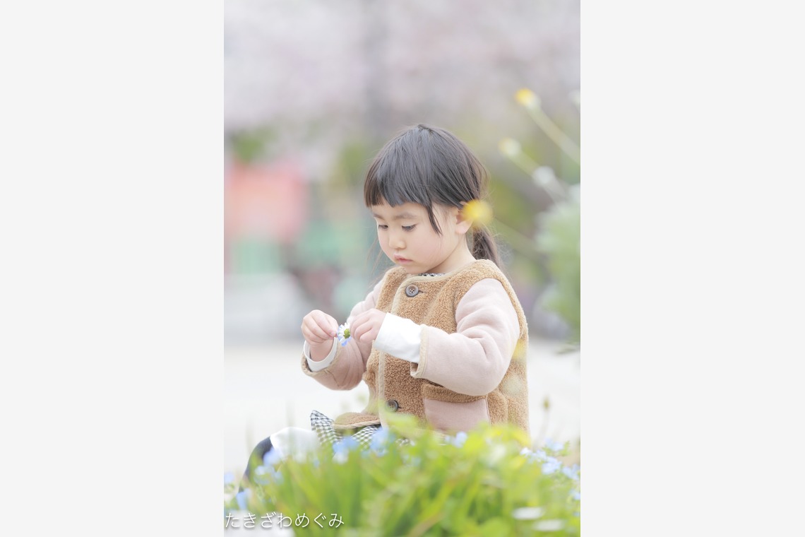 たきざわ めぐみが撮影したその他/家族写真の出張撮影のアルバム「公園にて」