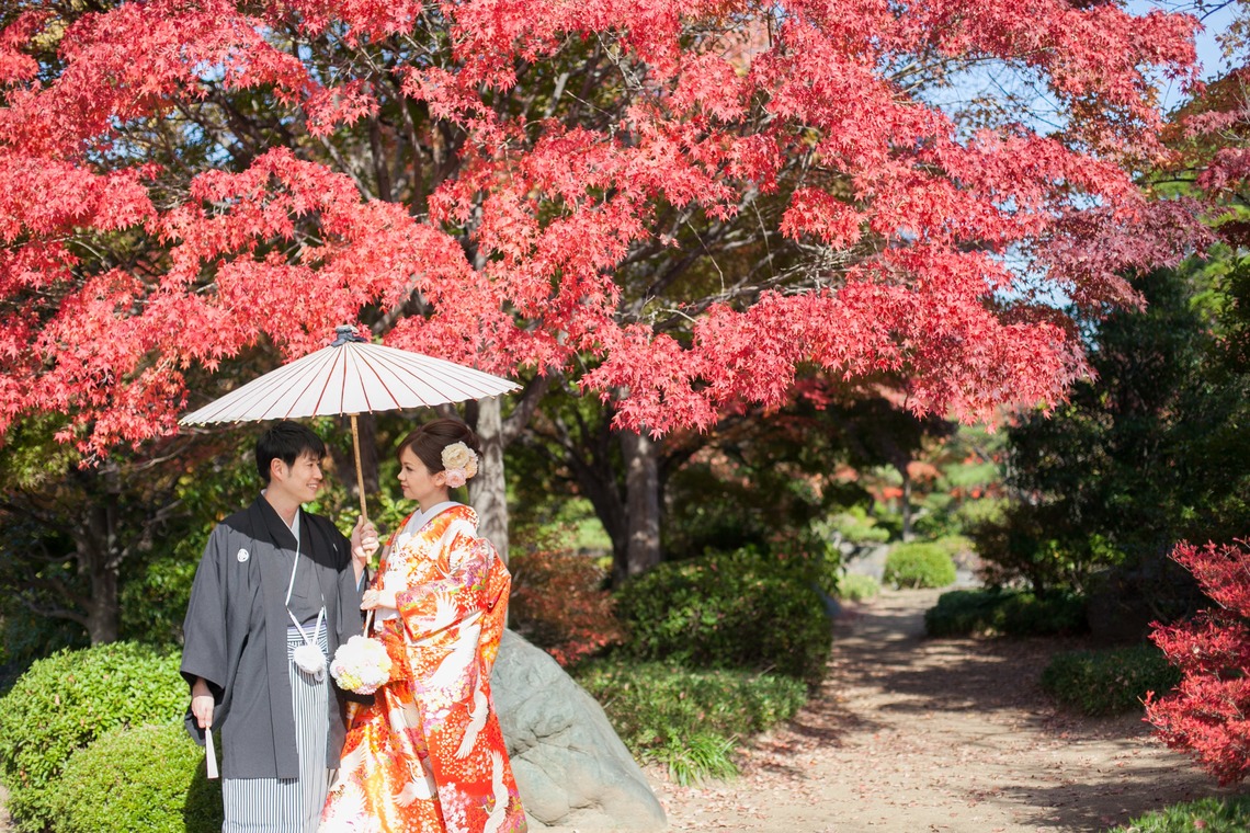 studio zeroが撮影した「大阪」の写真
