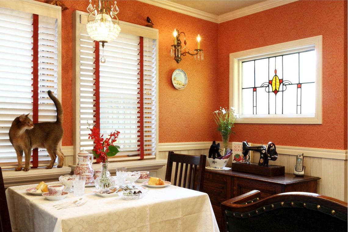 森安　照が撮影した「ペット撮影（犬・猫）」の写真