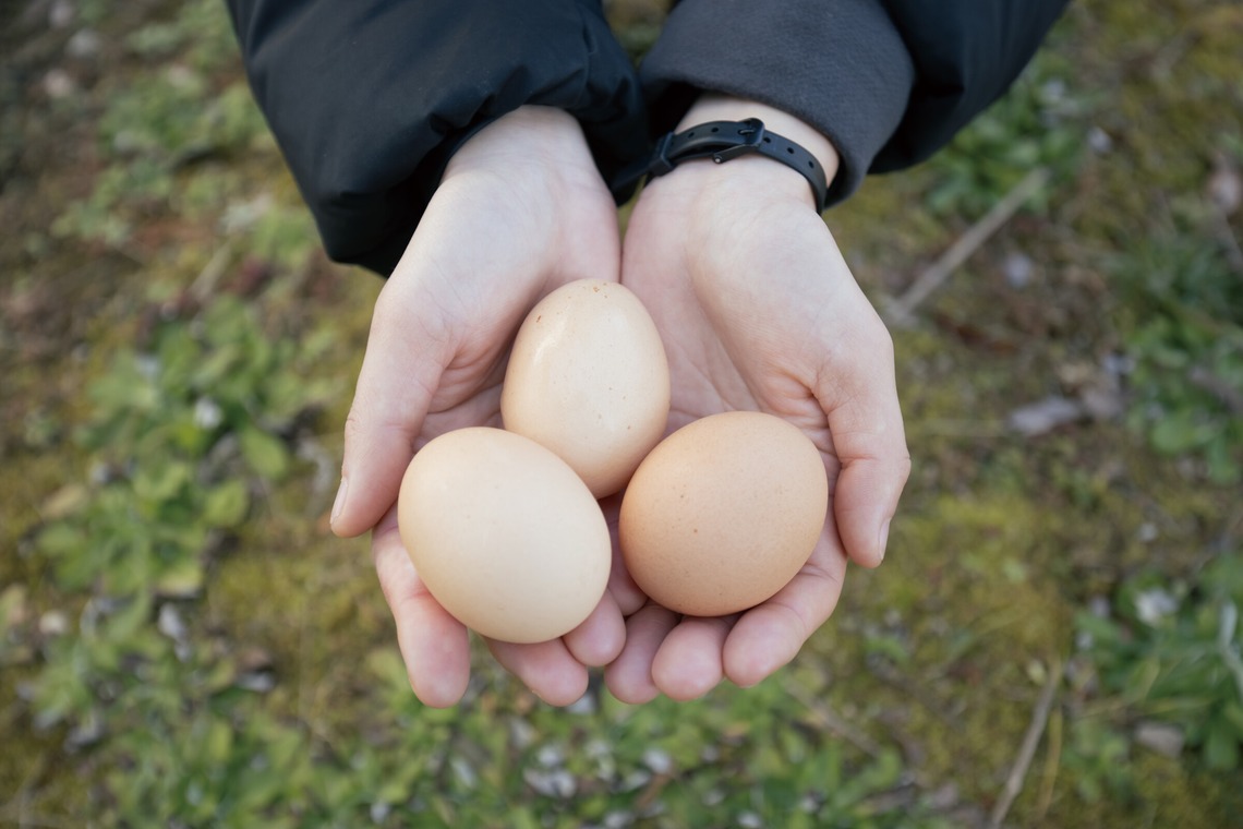 SHO HASEGAWAが撮影した「産地で働く（取材撮影）」の写真