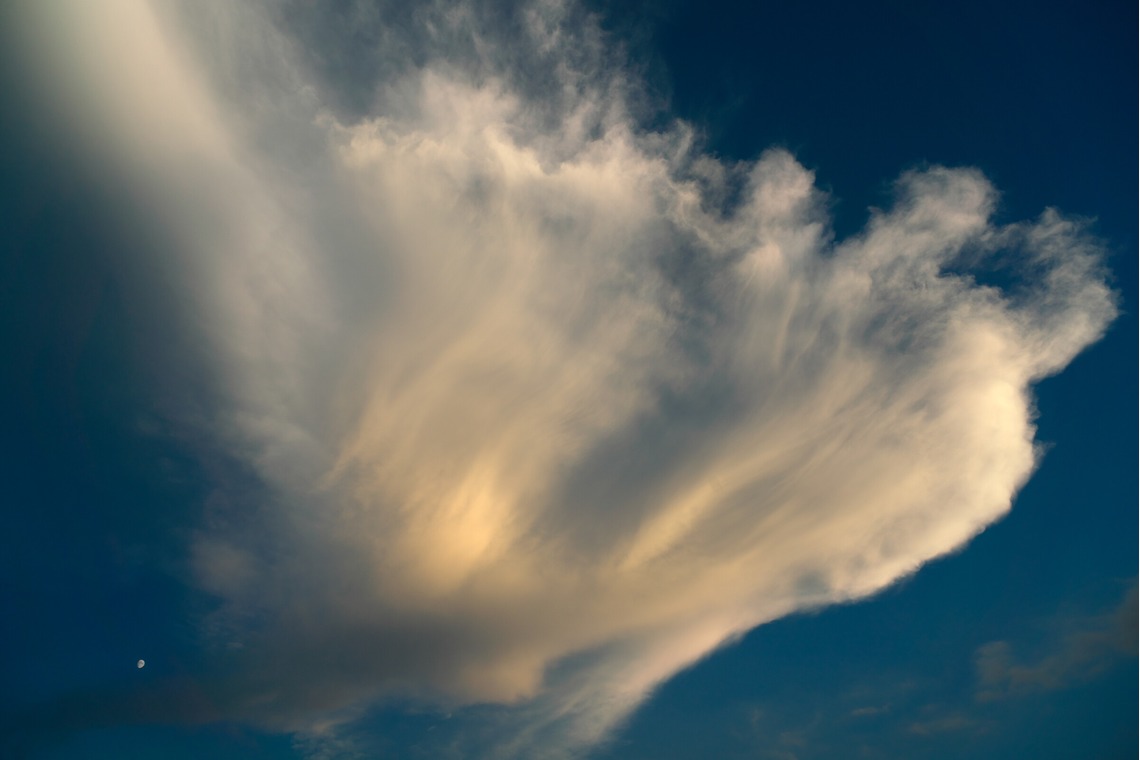 難波卓美が撮影した「街角スナップ」の写真