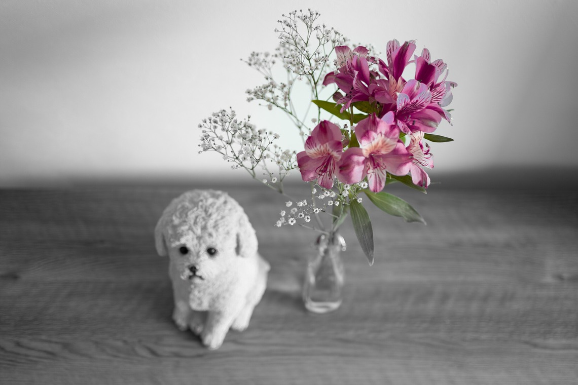 尾崎健太郎が撮影した写真のアルバム「飲食店店舗」